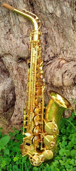 Saxophonunterricht, Saxophon lernen in Wien, Saxophon mieten, Saxophon Verleih